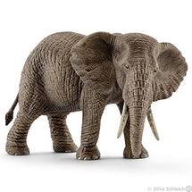 Schleich African Elephant Female 1 - Toyworld