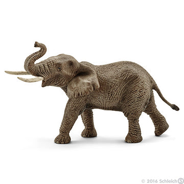 Schleich African Elephant Male 1 - Toyworld