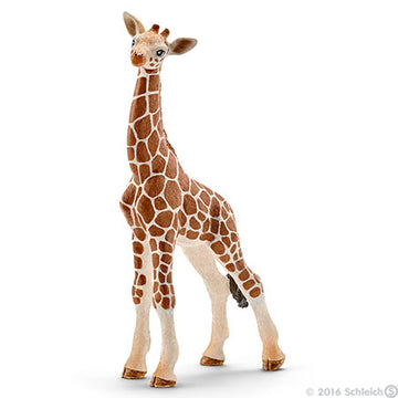 Schleich Giraffe Calf 1 - Toyworld