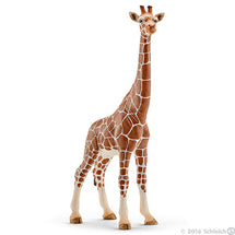 Schleich Giraffe Female 1 - Toyworld
