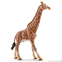 Schleich Giraffe Male - Toyworld