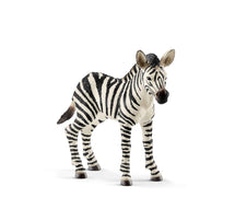 Schleich Zebra Foal Red Dot - Toyworld